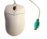Mouse 304