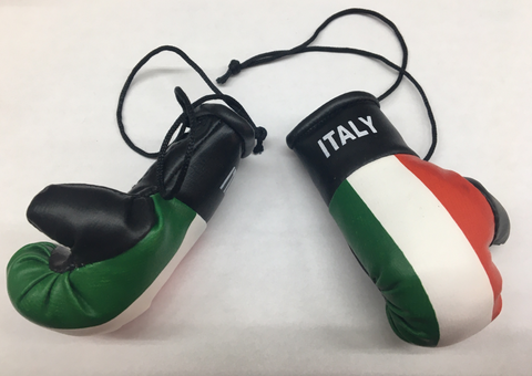 Mini Italy Boxing Gloves