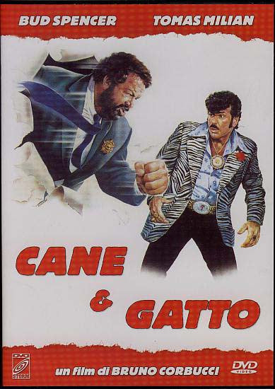 Cane & Gatto